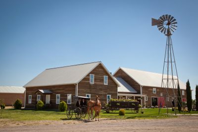 Sixth Day: Friday / Monday / Wednesday